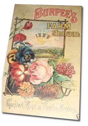 old Burpee Garden Catalog 1888