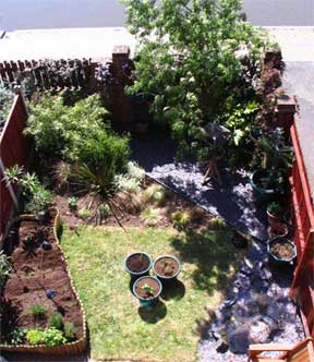 planning a backyard garden