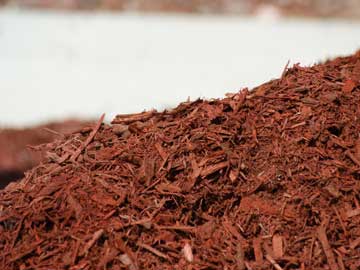 mulch for landscape plants helps provide protection and moisture