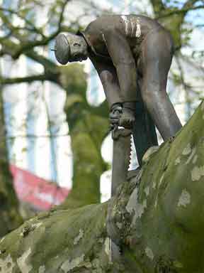 pruning trees requires shape tools