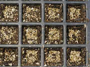 Benefits of Vermiculite - Garden Quickie Episode 48 