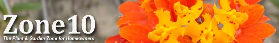 Covering the World of Landscape, Lawn, Houseplants and More